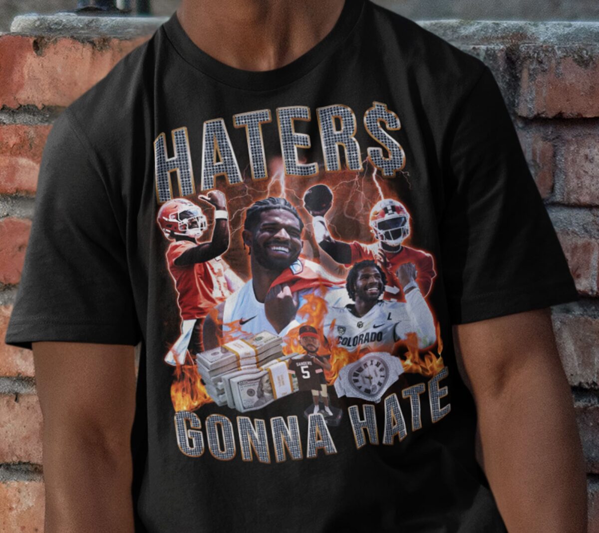 haters gonna hate model 2